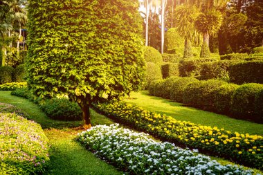 Tropikal Bahçe lüks manzara tasarımı. Güzel bir tropik bahçe manzarası.