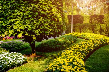 Tropikal Bahçe lüks manzara tasarımı. Güzel bir tropik bahçe manzarası.