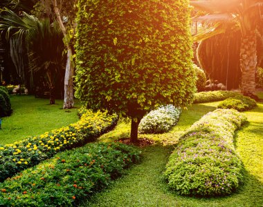 Tropikal Bahçe lüks manzara tasarımı. Güzel bir tropik bahçe manzarası.