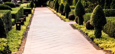 Tropikal Bahçe lüks manzara tasarımı. Güzel bir tropik bahçe manzarası.