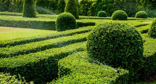 정원의 디자인입니다 다운된 정원의 — 스톡 사진