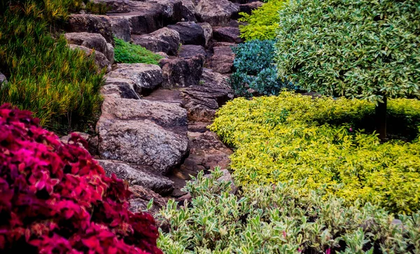 Luxe Ontwerp Van Het Landschap Van Tropische Tuin Prachtig Uitzicht — Stockfoto