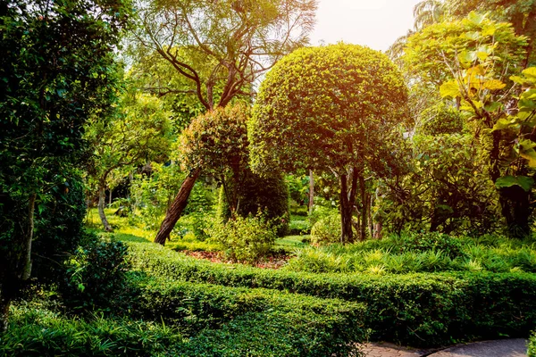 Diseño Paisaje Lujo Del Jardín Tropical Hermosa Vista Del Jardín — Foto de Stock