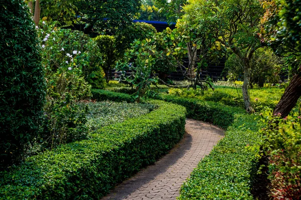 Luxury landscape design of the tropical garden. Beautiful view of landscaped tropical garden.