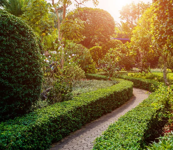 Luxury landscape design of the tropical garden. Beautiful view of landscaped tropical garden.