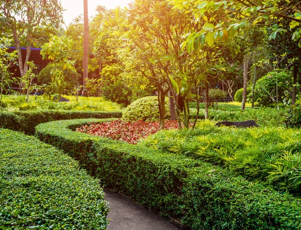 Luxury Landscape Design Tropical Garden Beautiful View Landscaped Tropical Garden — Stock Photo, Image