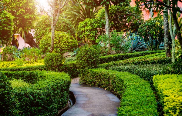 Diseño Paisaje Lujo Del Jardín Tropical Hermosa Vista Del Jardín — Foto de Stock