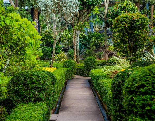 热带花园的豪华景观设计 美丽的风景热带花园 — 图库照片