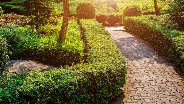 Diseño Paisaje Lujo Del Jardín Tropical Hermosa Vista Del Jardín — Foto de Stock