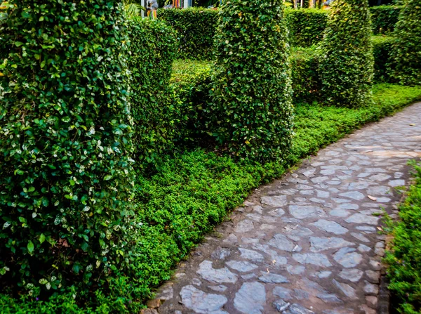 Luxusní Krajiny Design Tropické Zahrady Krásný Pohled Klidná — Stock fotografie
