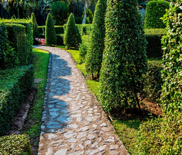 Aménagement Paysager Luxe Jardin Tropical Belle Vue Sur Jardin Tropical — Photo