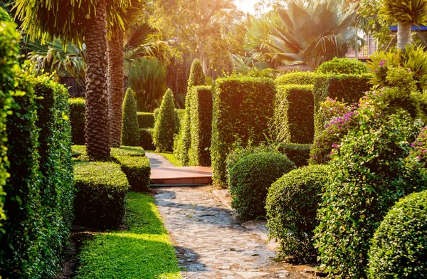 Diseño Paisaje Lujo Del Jardín Tropical Hermosa Vista Del Jardín — Foto de Stock