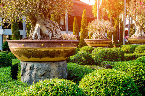 Роскошный ландшафтный дизайн сада. Вид на ландшафтный сад
.