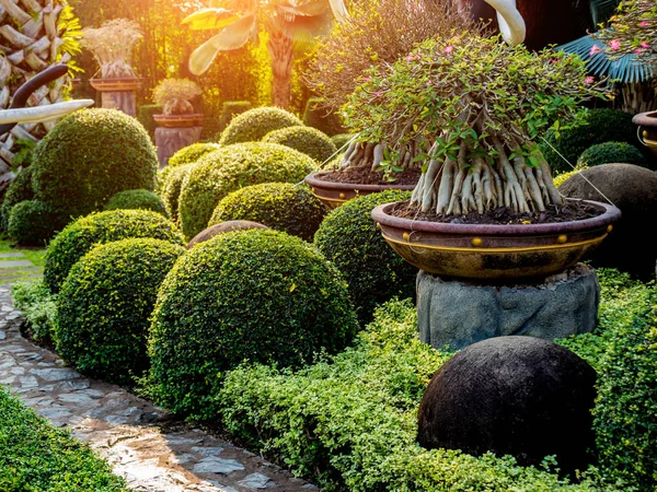 豪華な熱帯庭園のランドス ケープ デザイン 美しいトロピカル ガーデンの美しい景色 — ストック写真
