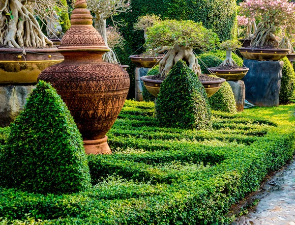 Πολυτελή Σχεδιασμό Τοπίου Στον Τροπικό Κήπο Όμορφη Θέα Του Όμορφα — Φωτογραφία Αρχείου