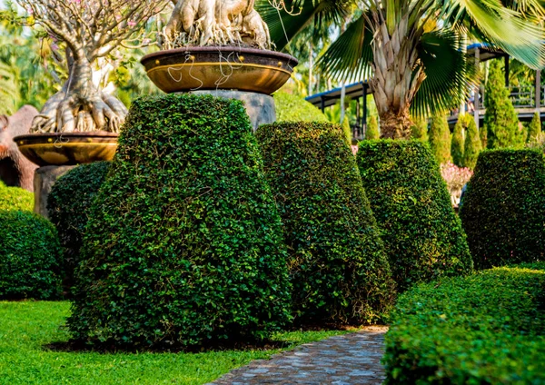 Diseño Paisaje Lujo Del Jardín Tropical Hermosa Vista Del Jardín — Foto de Stock