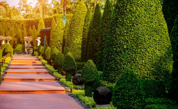 Luxury landscape design of the tropical garden. Beautiful view of landscaped tropical garden.