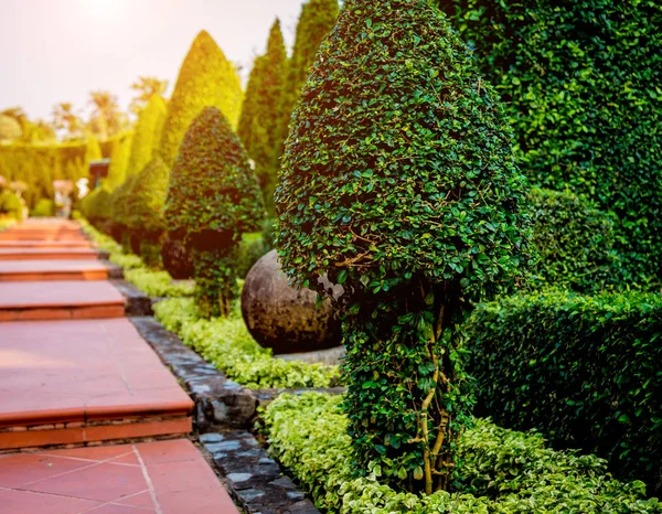 Diseño Paisaje Lujo Del Jardín Tropical Hermosa Vista Del Jardín — Foto de Stock