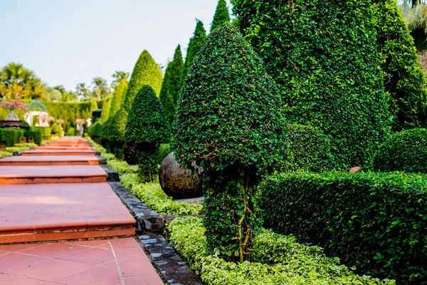 Diseño Paisaje Lujo Del Jardín Tropical Hermosa Vista Del Jardín — Foto de Stock