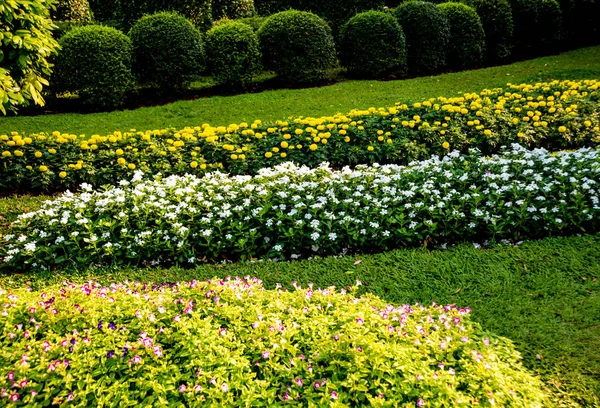 Diseño Paisaje Lujo Del Jardín Tropical Hermosa Vista Del Jardín — Foto de Stock