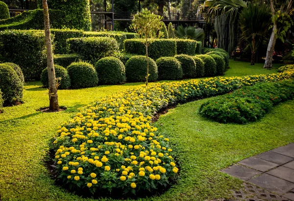 Luxury Landscape Design Tropical Garden Beautiful View Landscaped Tropical Garden — Stock Photo, Image