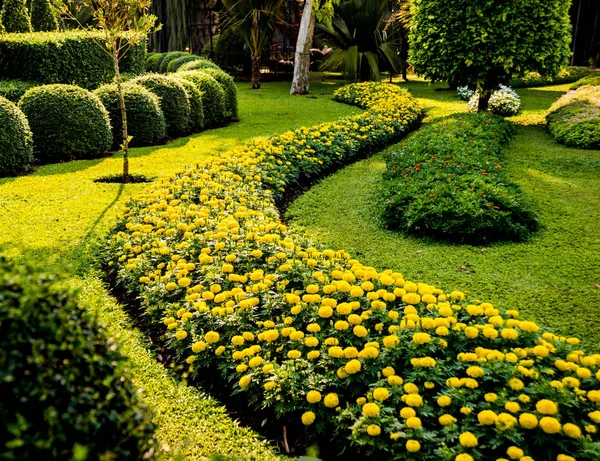 Diseño Paisaje Lujo Del Jardín Tropical Hermosa Vista Del Jardín — Foto de Stock