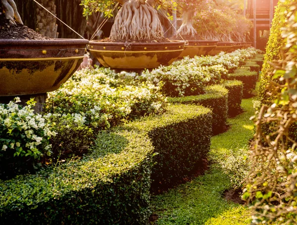 Diseño Paisaje Lujo Del Jardín Tropical Hermosa Vista Del Jardín — Foto de Stock