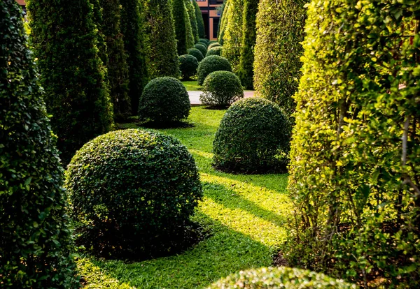 Diseño Paisaje Lujo Del Jardín Tropical Hermosa Vista Del Jardín — Foto de Stock