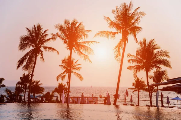 Praia Tropical Bonita Com Palmeiras Nascimentos Pôr Sol Oceano Contexto — Fotografia de Stock