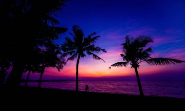 Palmiye ağaçları ile güzel tropikal plaj. Gündoğumu ve günbatımı. Okyanus. Arka plan