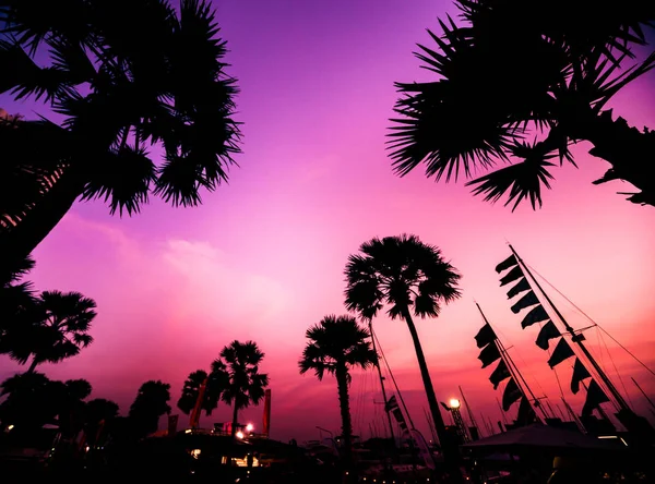 Marina Bay Güzel Günbatımı Gökyüzü Yatlar Teknelere Ile Liman Manzarası — Stok fotoğraf