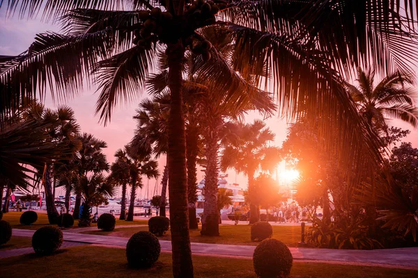 Wunderschöner Sonnenuntergangshimmel Der Marina Bay Blick Auf Den Hafen Mit — Stockfoto