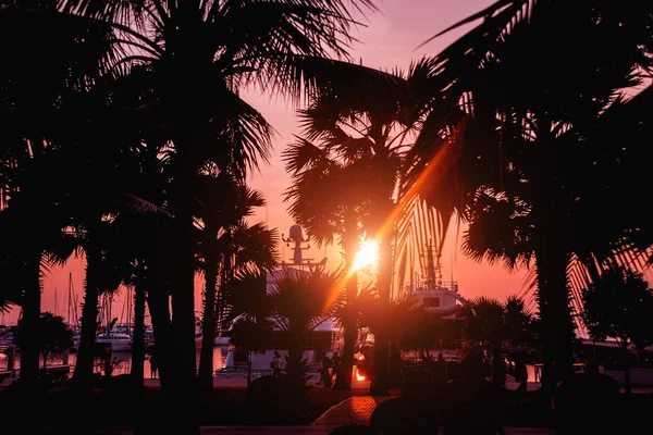 Wunderschöner Sonnenuntergangshimmel Der Marina Bay Blick Auf Den Hafen Mit — Stockfoto