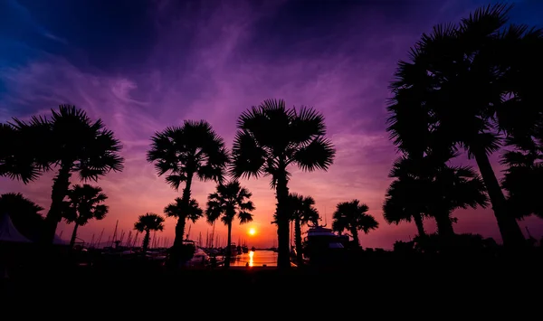 Krásný Západ Slunce Obloha Marina Bay Pohled Přístav Jachtami Motorové — Stock fotografie