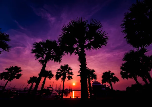 マリーナ湾の美しい夕焼け空 ヨットとモーター ボートの港の眺め 海の夕日 バック グラウンド — ストック写真