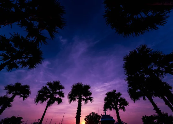 マリーナ湾の美しい夕焼け空 ヨットとモーター ボートの港の眺め 海の夕日 バック グラウンド — ストック写真