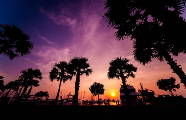 Hermoso Cielo Atardecer Bahía Marina Vista Del Puerto Con Yates — Foto de Stock