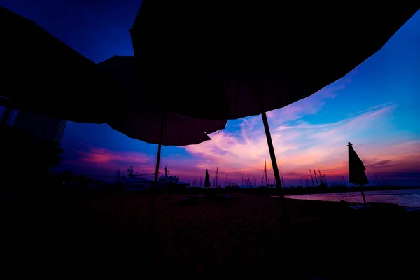 Πανέμορφη Τροπική Παραλία Τους Φοίνικες Ανατολές Και Ηλιοβασιλέματα Στον Ωκεανό — Φωτογραφία Αρχείου