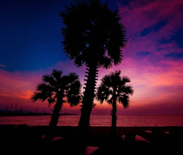 ヤシの木と美しい熱帯のビーチ 日の出と日没 バック グラウンド — ストック写真