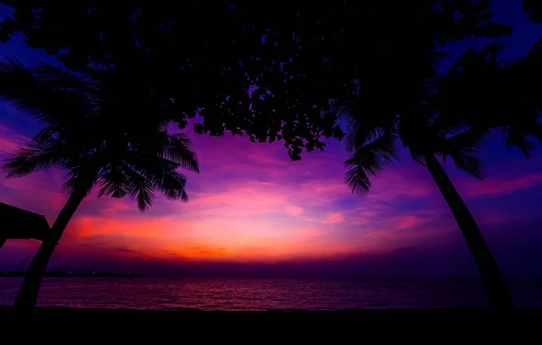 Πανέμορφη Τροπική Παραλία Τους Φοίνικες Ανατολές Και Ηλιοβασιλέματα Στον Ωκεανό — Φωτογραφία Αρχείου