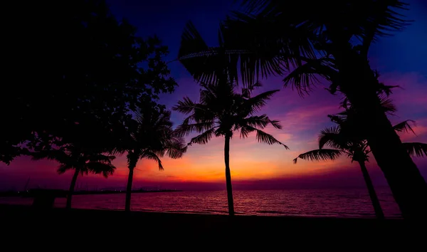 ヤシの木と美しい熱帯のビーチ 日の出と日没 バック グラウンド — ストック写真