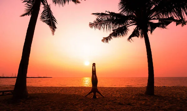 Vacker Ung Kvinna Practic Yoga Stranden Tidig Morgonträning Soluppgång Palms — Stockfoto