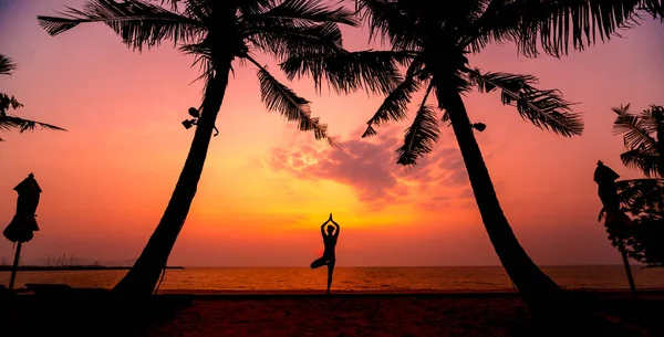 美丽的年轻女子在海滩上练习瑜伽 清晨锻炼 棕榈背景 — 图库照片