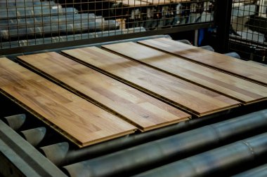 Ahşap zemin fabrikasının üretim hattı, endüstriyel arka plan