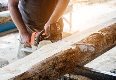 Ağaç kesen kereste fabrikasında testere ile ağaç kesiyor. Modern kereste fabrikası. Sanayi kütüklerden testere tahtaları