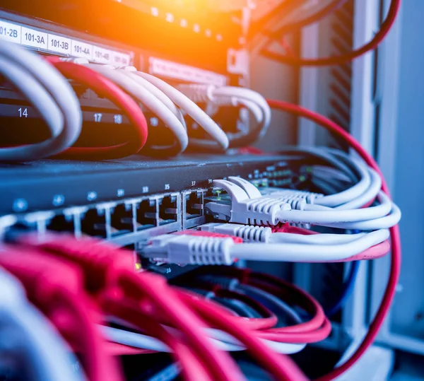 Netzwerk Switch Und Ethernet Kabel Den Farben Rot Und Weiß — Stockfoto