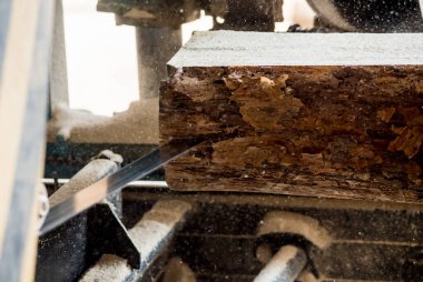 Modern kereste fabrikası. Sanayi kütüklerden testere tahtaları