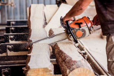 Ağaç kesen kereste fabrikasında testere ile ağaç kesiyor. Modern kereste fabrikası. Sanayi kütüklerden testere tahtaları