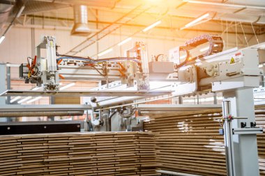 Ahşap zemin fabrikasının üretim hattı, endüstriyel arka plan