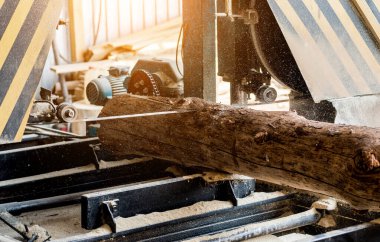 Modern kereste fabrikası. Sanayi kütüklerden testere tahtaları